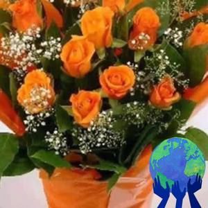 Meet your Posher, Erdene